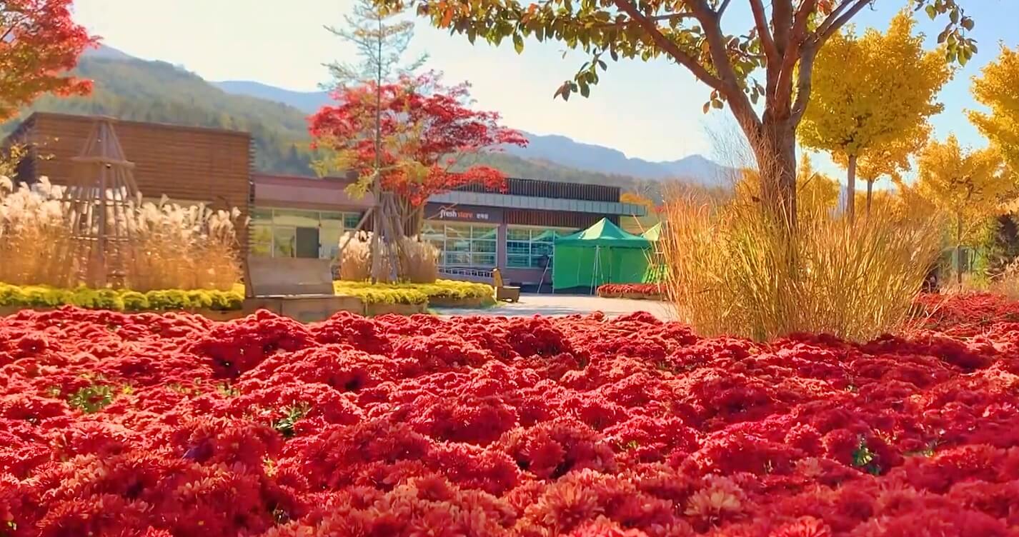 국립백두대간수목원