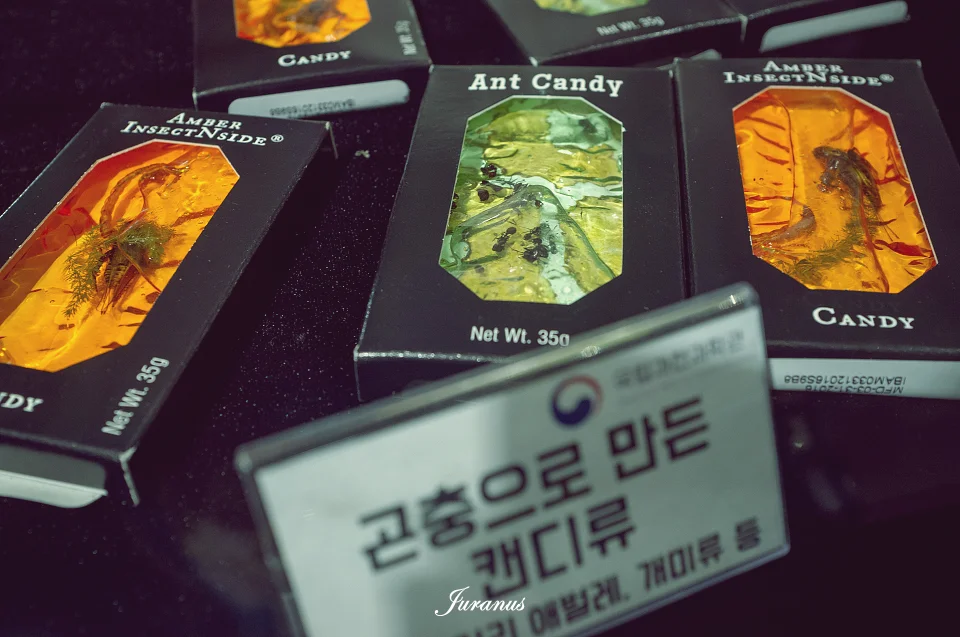 과천과학관_41