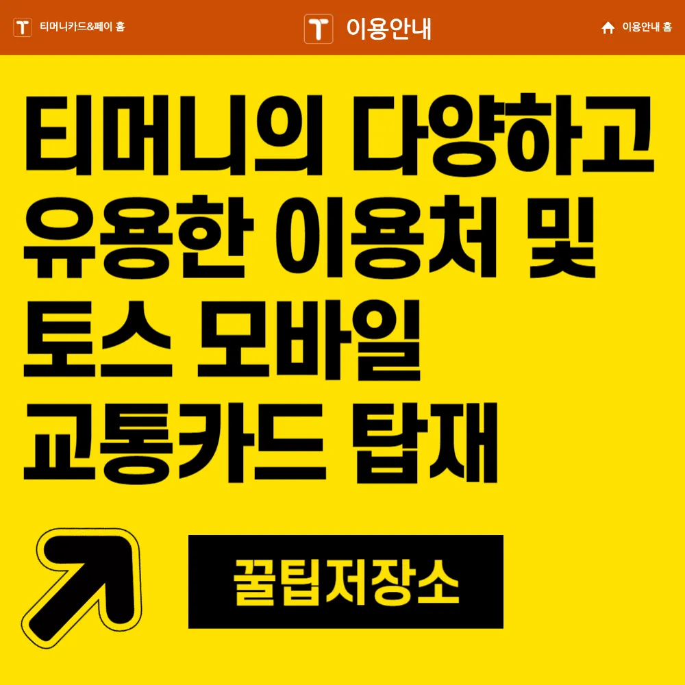 티머니