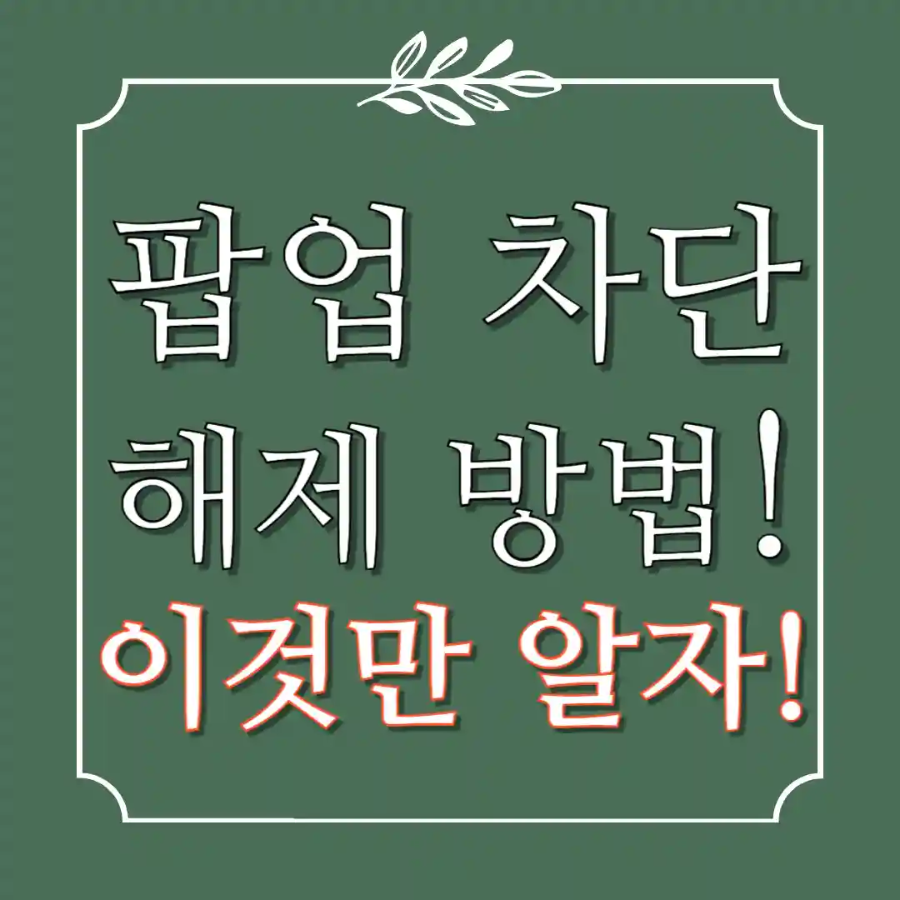팝업 차단 해제 방법