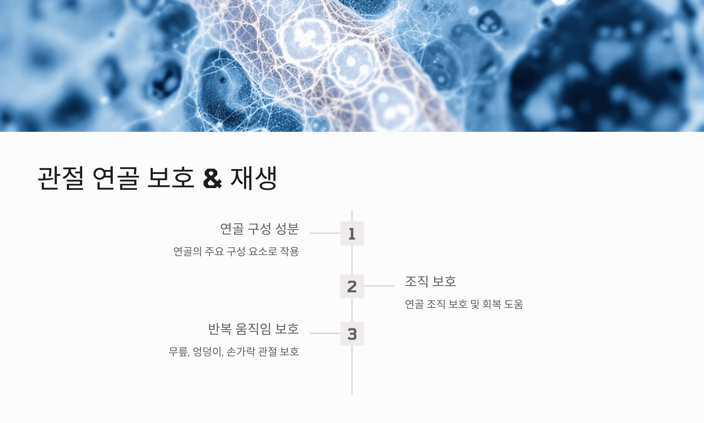 글루코사민과 관련된 사진입니다.