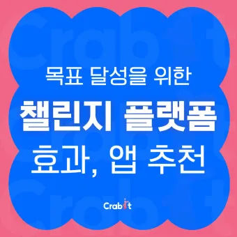 챌린지 뜻 5가지 상황별 해석과 예문_5