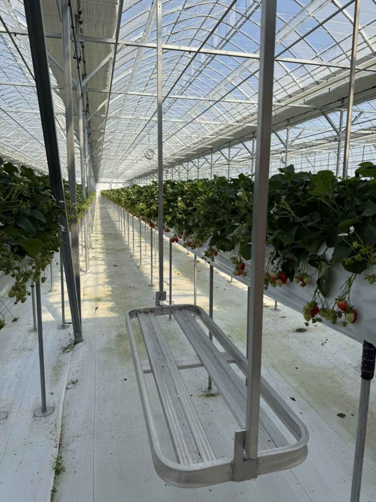 페이머스파머스