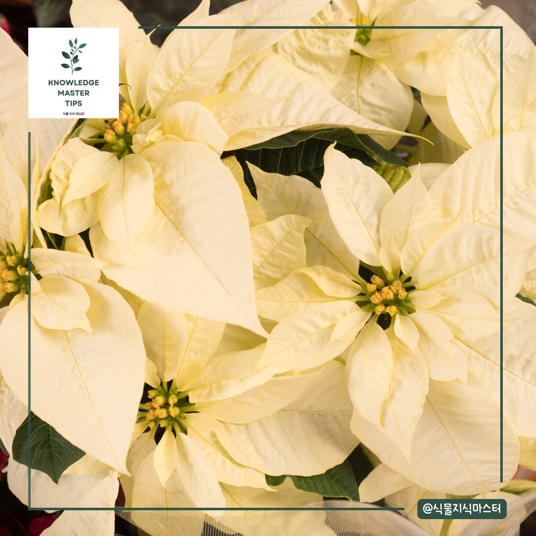 물은 얼마나 자주 줘야 할까?