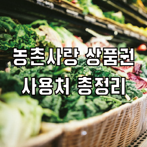 농촌사랑 상품권 사용처 (농협몰 하나로마트 등)