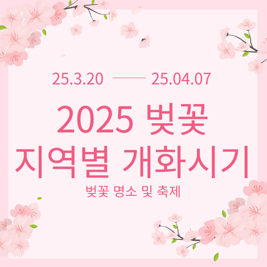 2025 벚꽃 개화 시기 지역별 정리