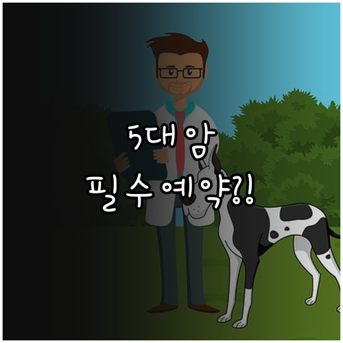 국가건강검진 5대 암 검진 대상 기준..