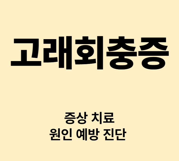상복부통증 메스꺼움 구토 설사 변비 증상 고래회충증 치료 예방