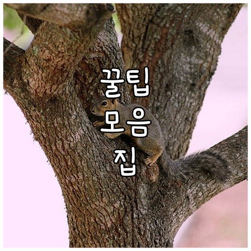 2025년 부산 수영구 한부모가족 지..