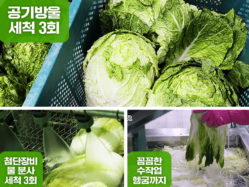 해남 절임배추 20kg 사전예약 가격비교