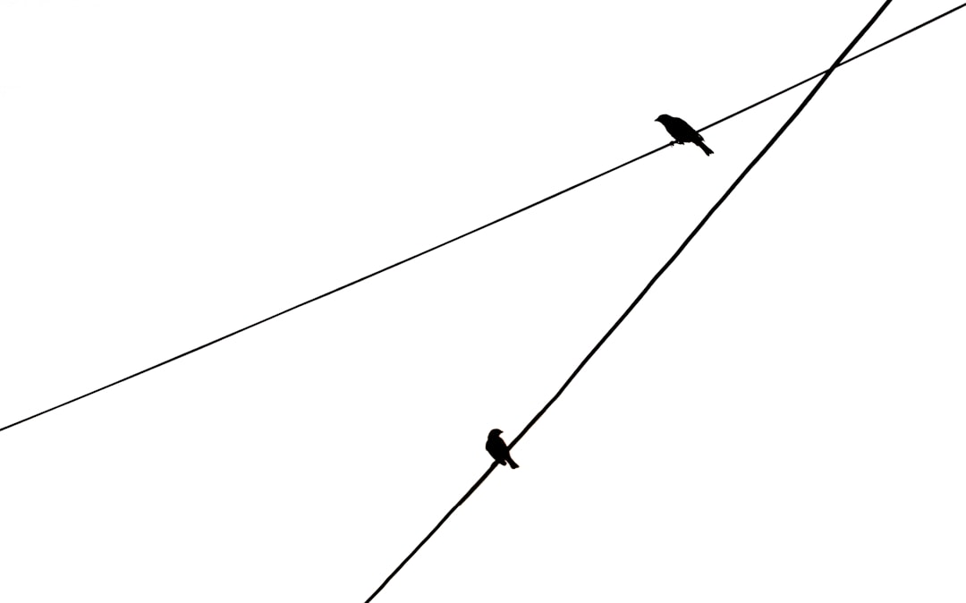 Overlap