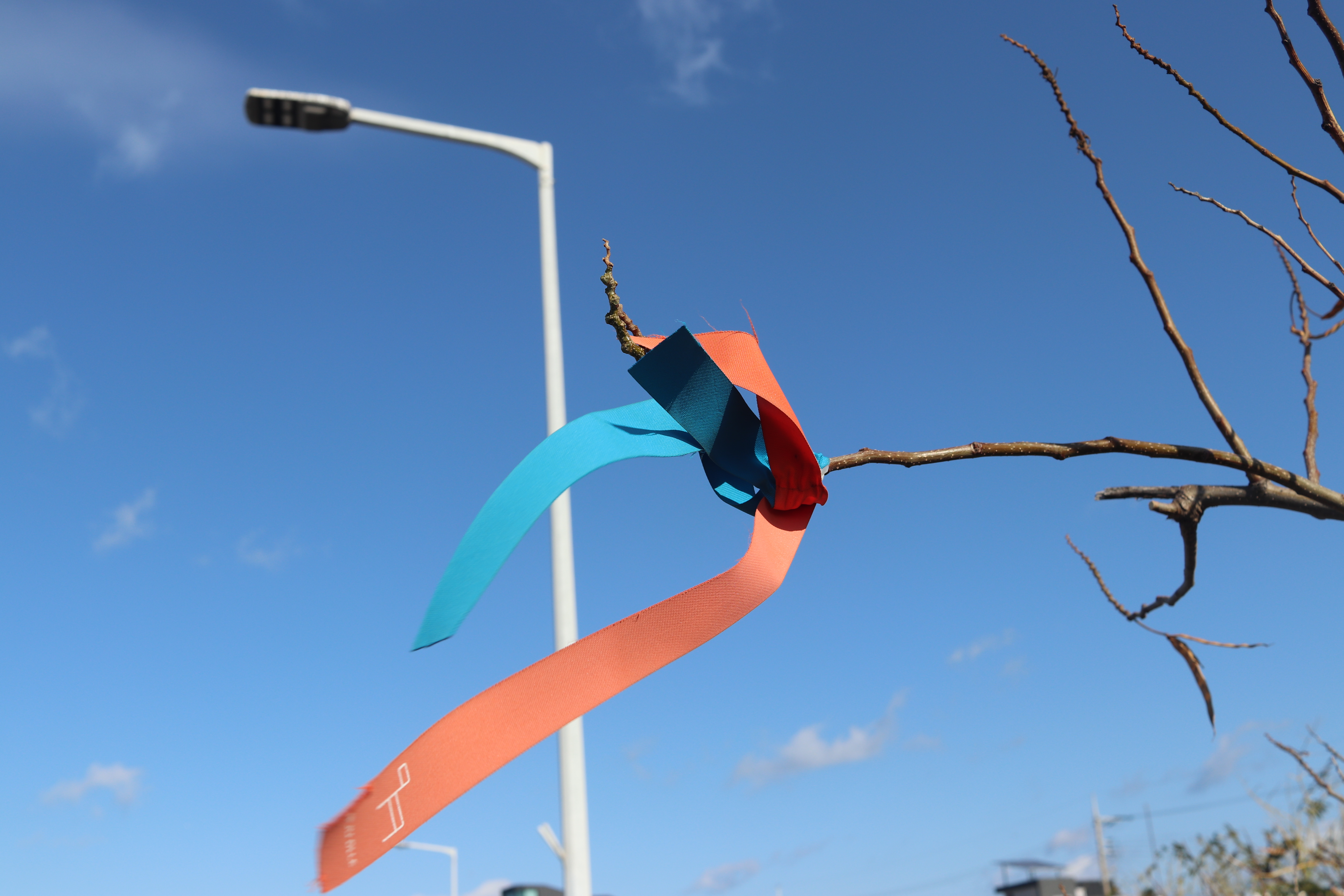 제주 올레길 관련 사진