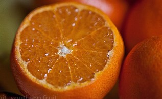 올팜 맞팜 친구 맺기