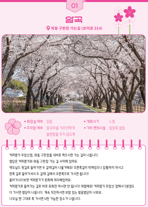 경북 축제