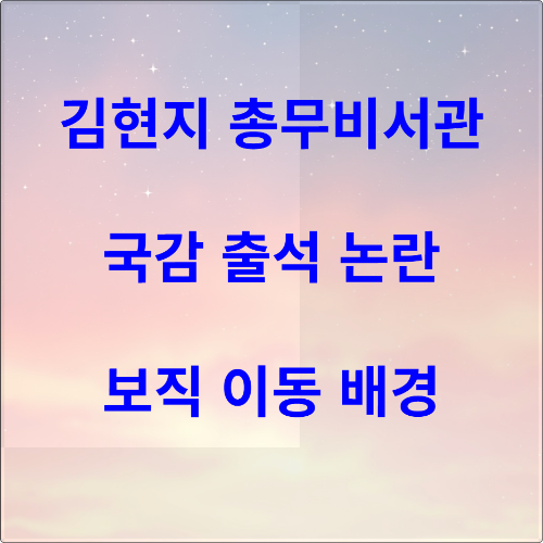 김현지 총무비서관의 보직 이동
