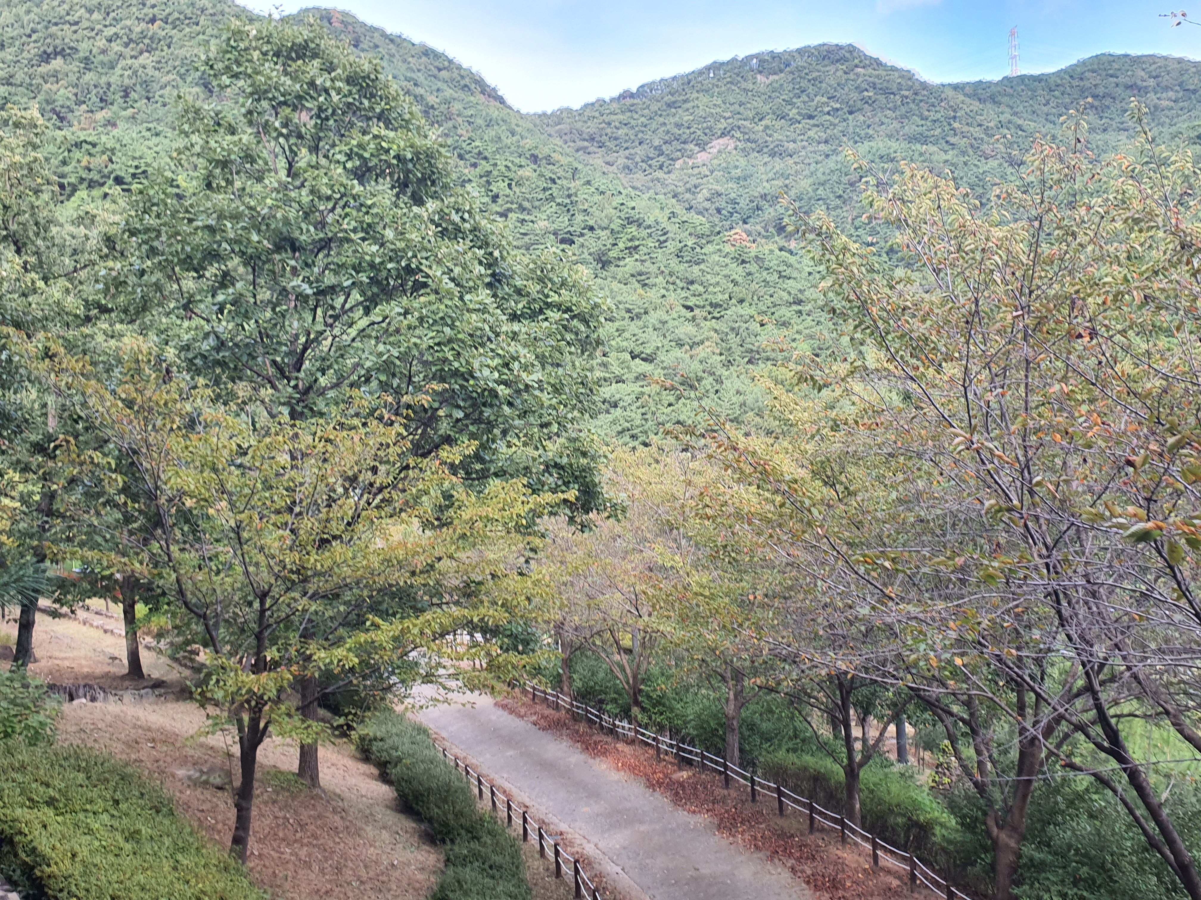 모노레일