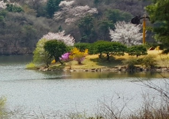 서울근교벚꽃명소