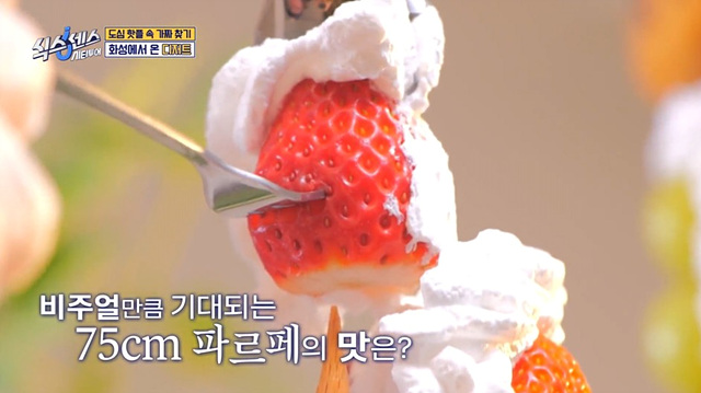 식스센스 수원 2회 맛집 정보 김치폭탄통닭 파르페 냉면꼬치 디믈리에 도토리캐리커쳐 여행