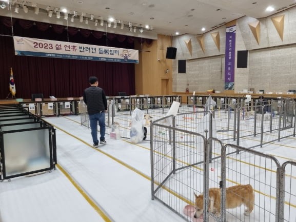 반려견 돌봄 쉼터