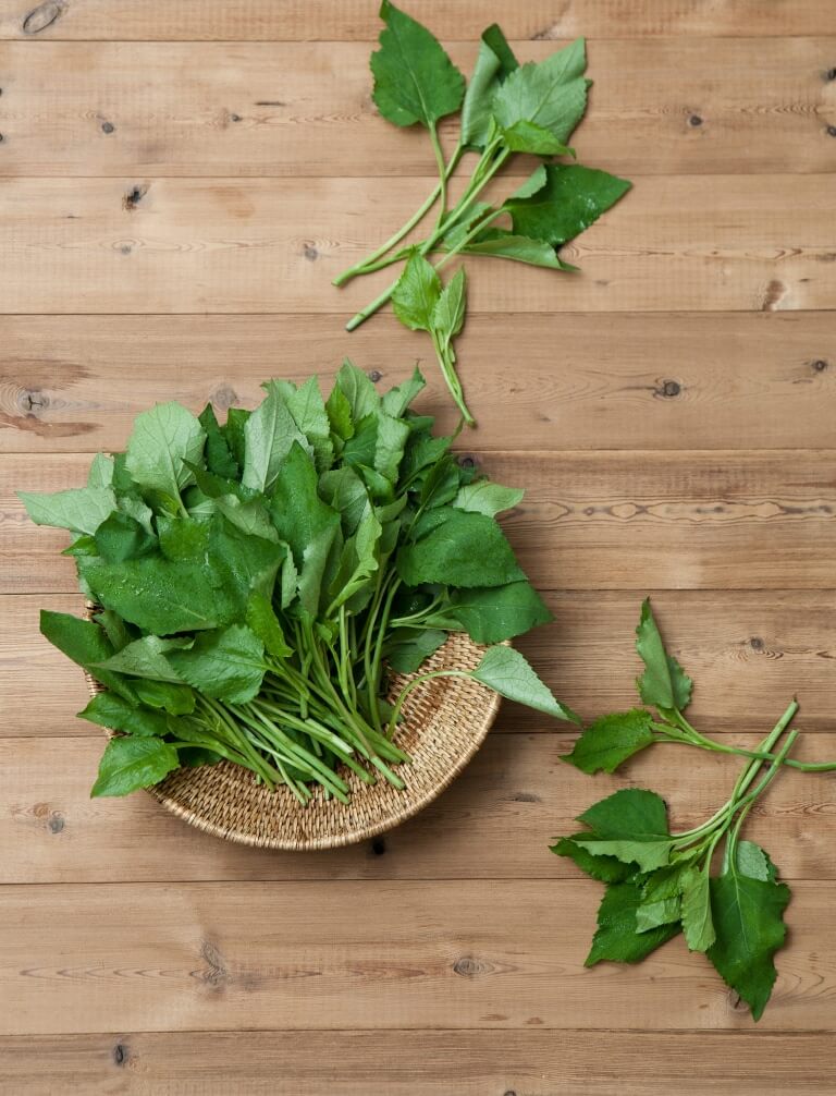 봄나물 종류와 효능 BEST6