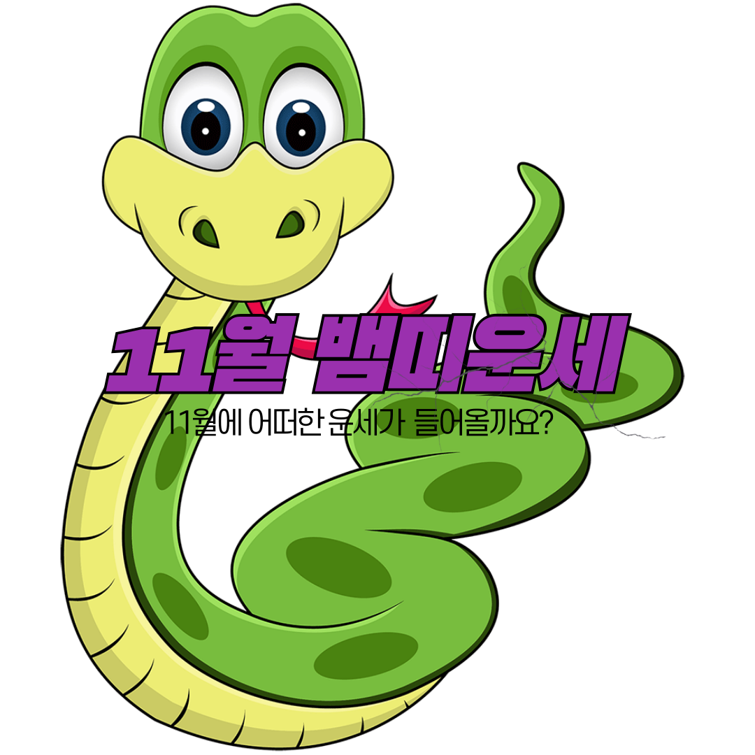 11월-뱀띠-운세