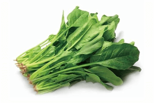 골다공증에 좋은 음식10