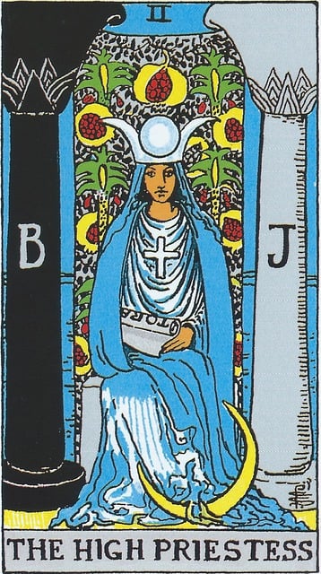 2번. THE HIGH PRIESTESS(여사제)