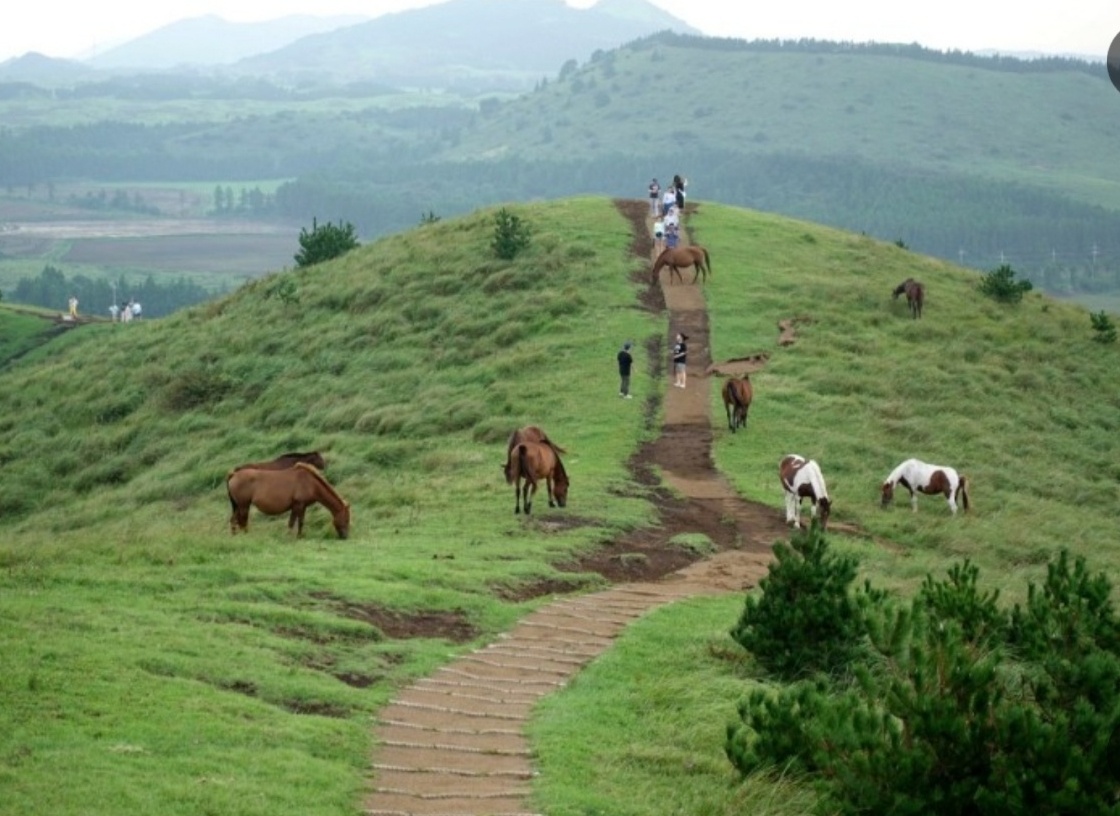 용눈이오름 이미지