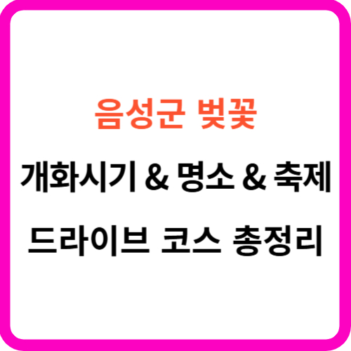 음성 벚꽃 개화시기 축제 명소 드라이브 코스 썸네일