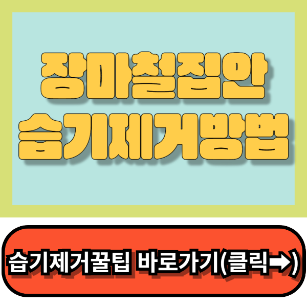 장마철집안습기제거 꿀팁총정리!!