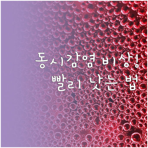 독감 코로나 동시감염 증상 완화 방법..