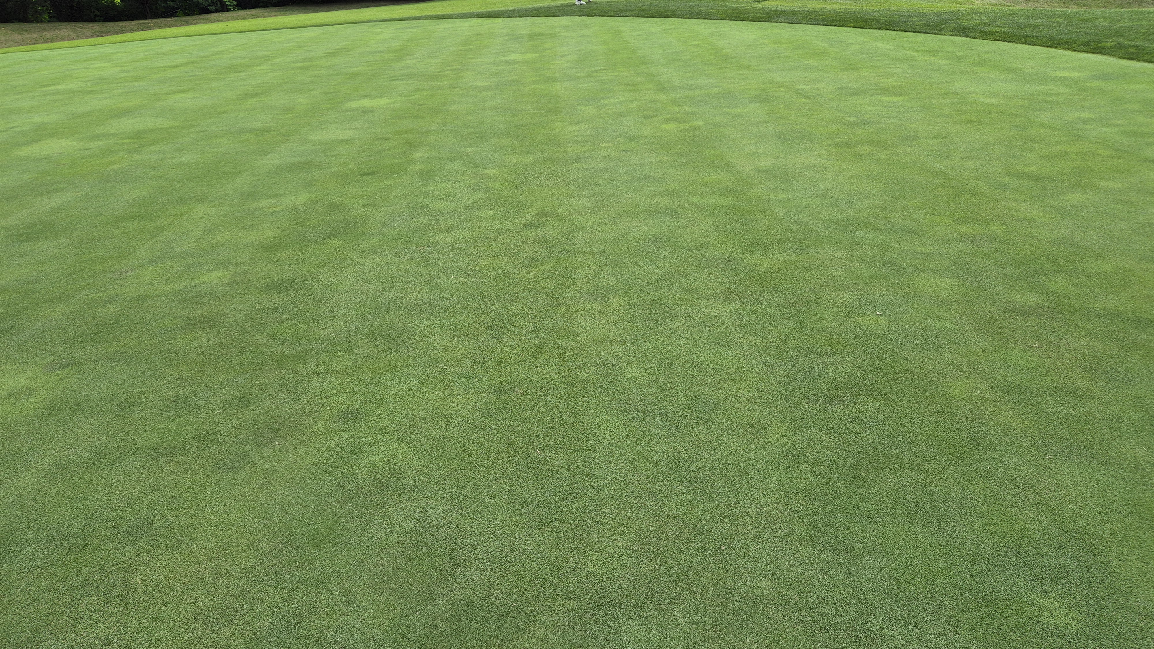 뉴스프링빌cc 라운드 후기