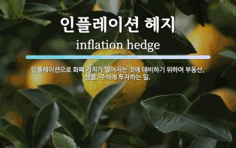헤지플레이션