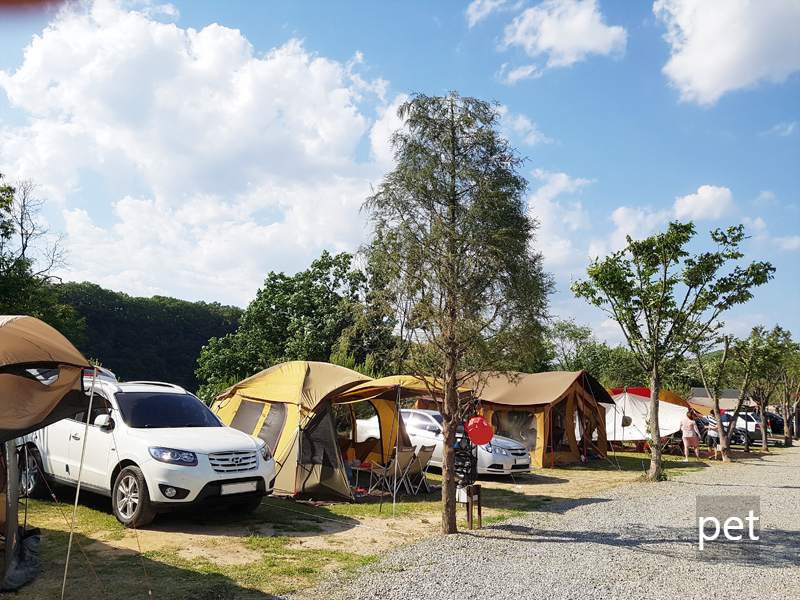 경기-연천-나린오토캠핑장-예약-방법-애견-동반-가격-주소-시간-후기