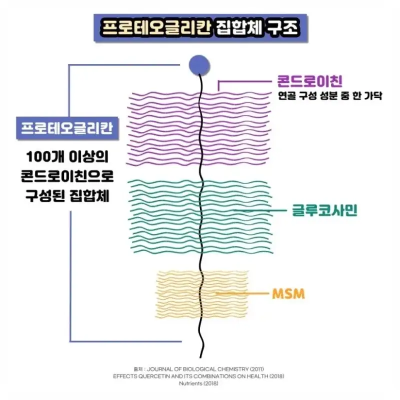 일본무릎관절염약