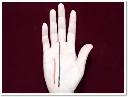 영향선과 운명선