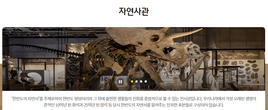 국립중앙과학관 야간개관