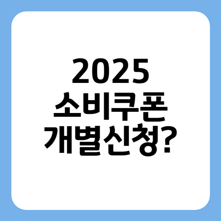 썸네일 2025소비쿠폰 개별신청