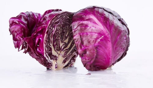 역류성식도염에-좋은-적양배추