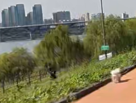 Alt 속성 문제 해결 설명 이미지