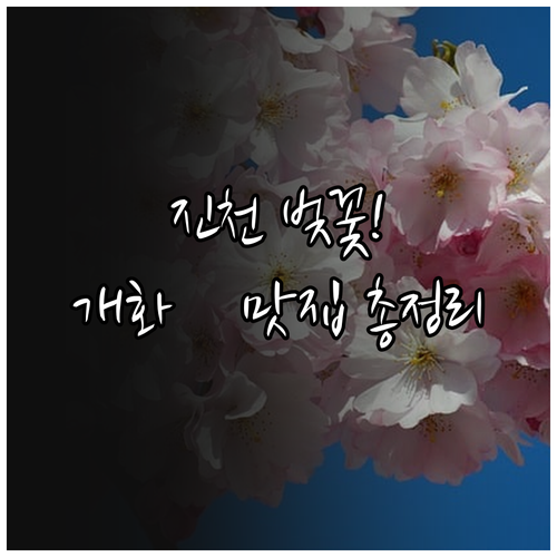 2026년 진천 벚꽃 개화 시기 및 ..