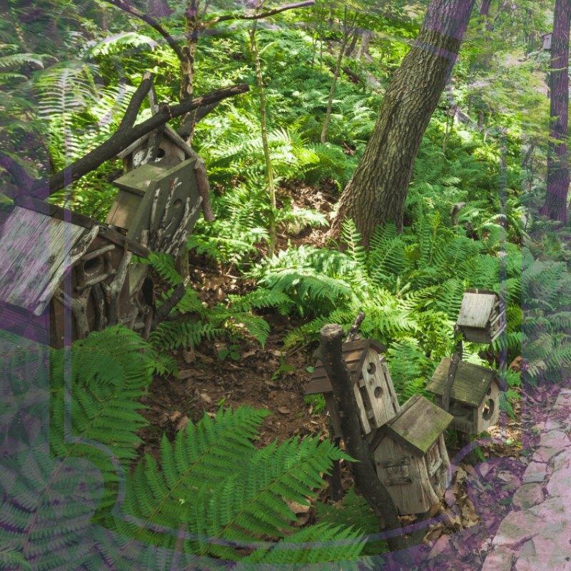 화담숲 예약방법