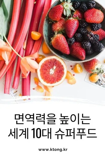 면역력 높이는 하루 루틴과 시간대별 건강 습관_6