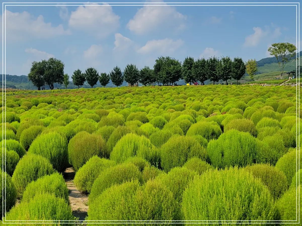 댑싸리정원-입구방향-전경