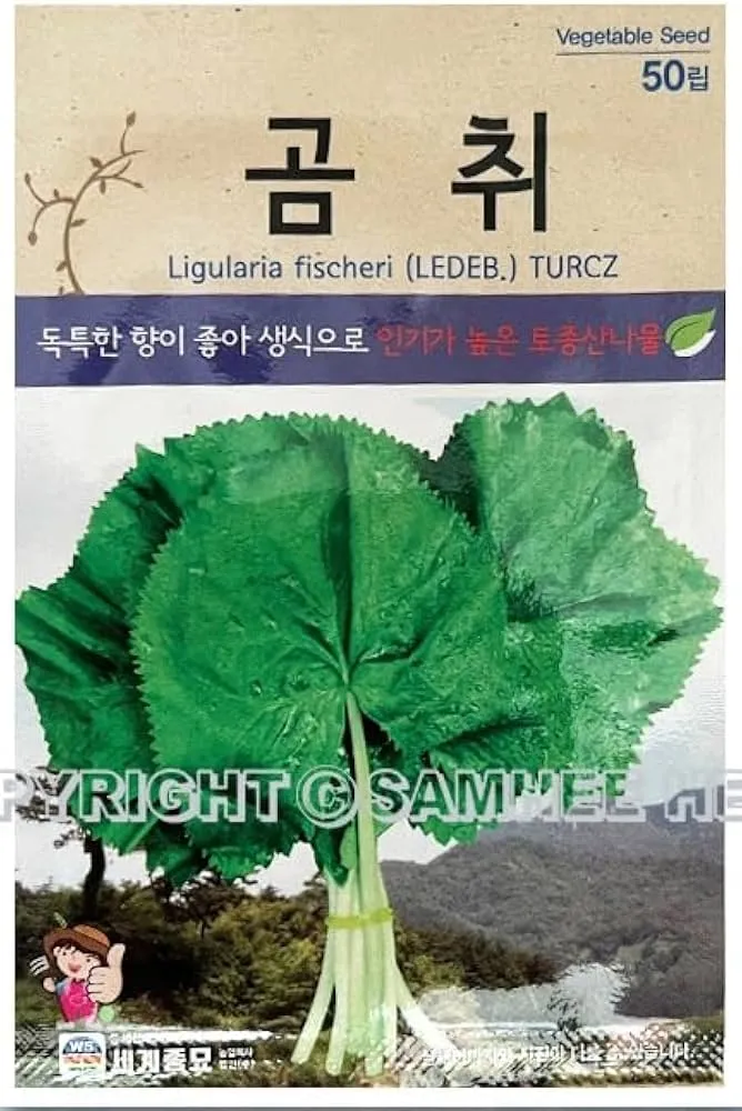 곰취 먹는방법 쌈 무침 장아찌 만드는법 요리 데치는방법_6