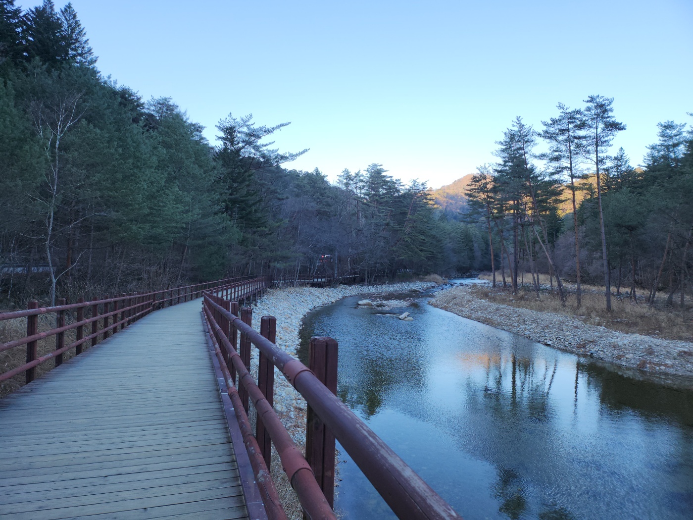 강원도오대산월정사선재길전나무숲길