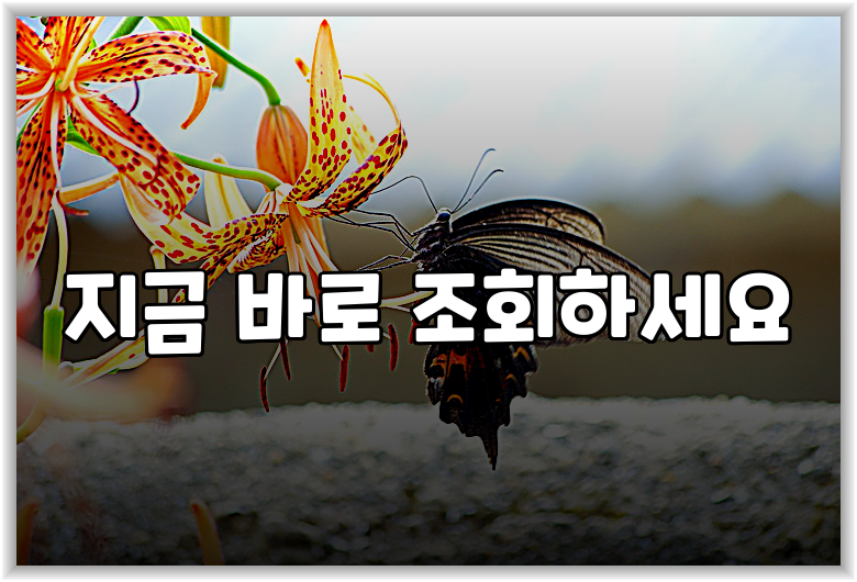 지금 바로 조회하세요