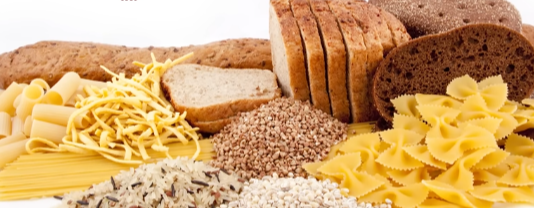 고지혈증 약 없이 건강한 혈관 만드는 법