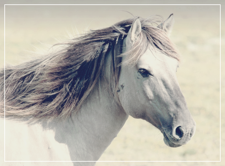 지속 가능한 수익 구조를 다질 기회