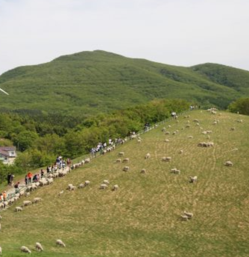 겨울 여행지 추천